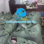 Nhận gửi quần áo giầy dép túi xách đi Singapore