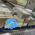 Dịch Vụ Gửi Hàng Đi New Zealand Giá Rẻ